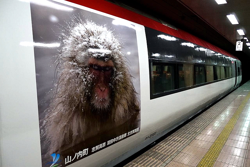 长野电铁2100系列车身上的猕猴宣传涂装
