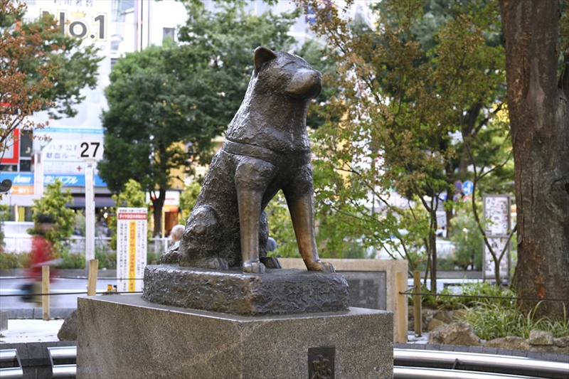 涉谷站前的忠犬八公铜像